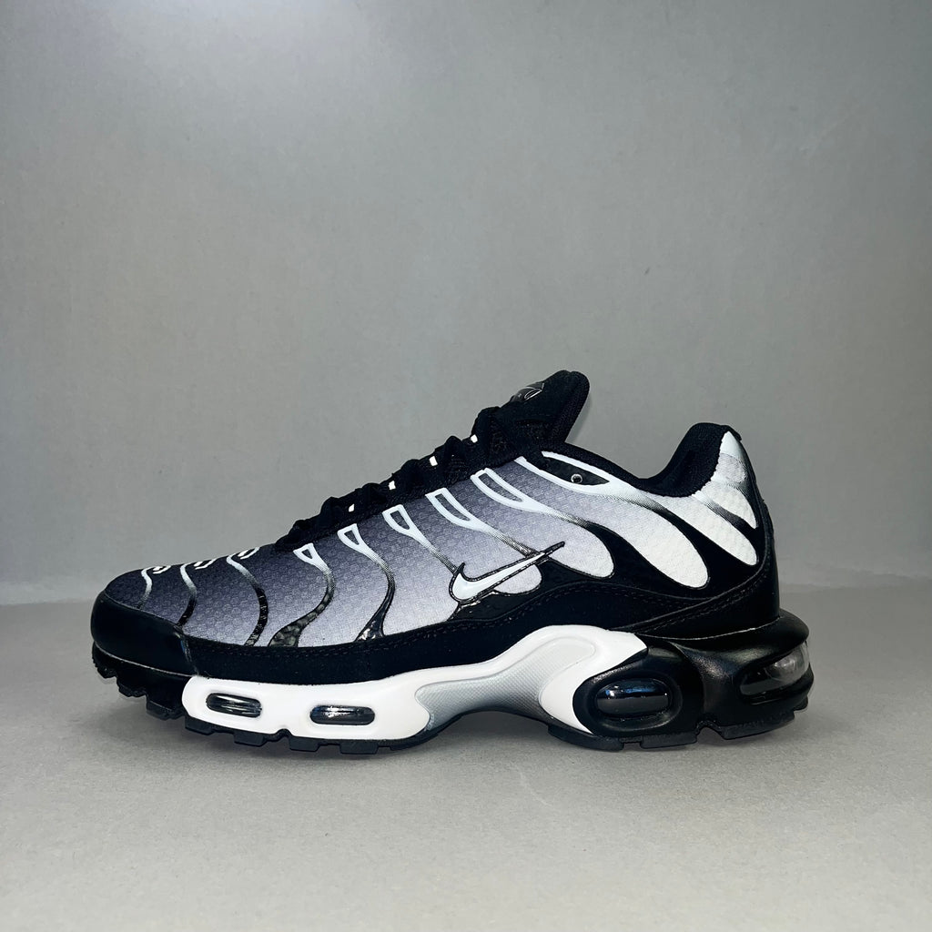 Nike Air Max Plus TN “Black Metallic Silver”